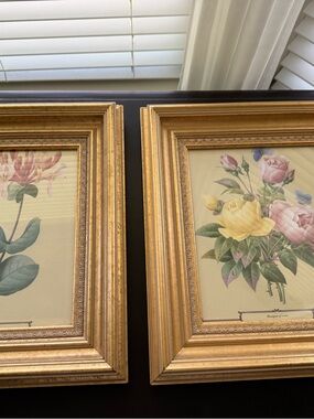 Pair of Framed Botanical Floral Prints in High End Gold Frames